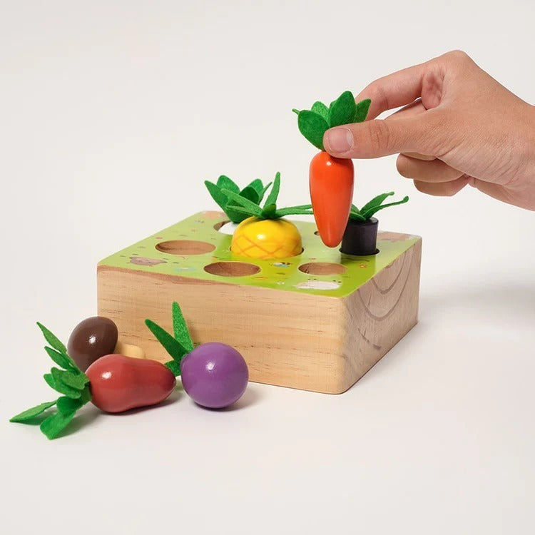 Montessori-Gemüseset