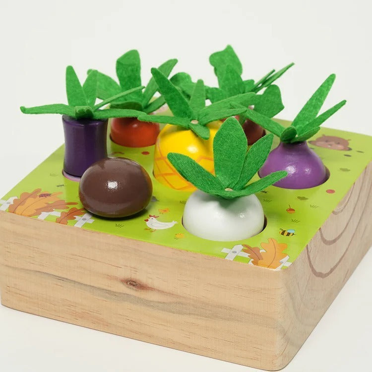 Montessori-Gemüseset