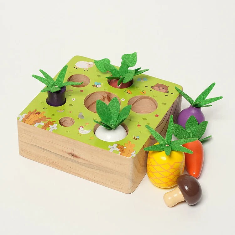 Montessori-Gemüseset