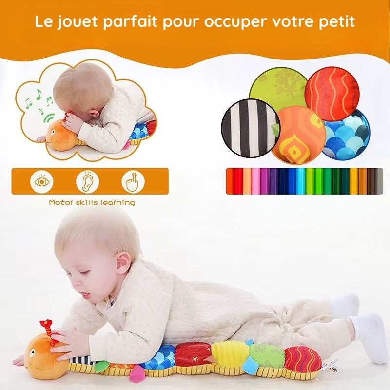 Animal Musical Montessori