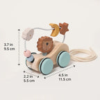 Roller Lion Montessori